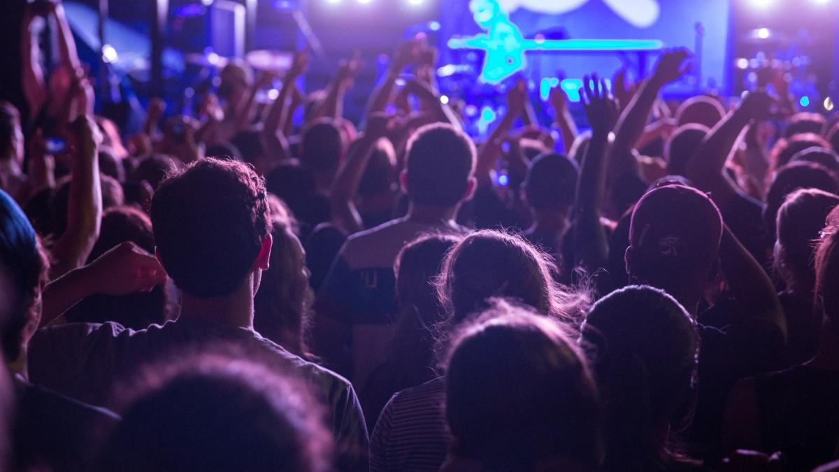 People standing at a music concert